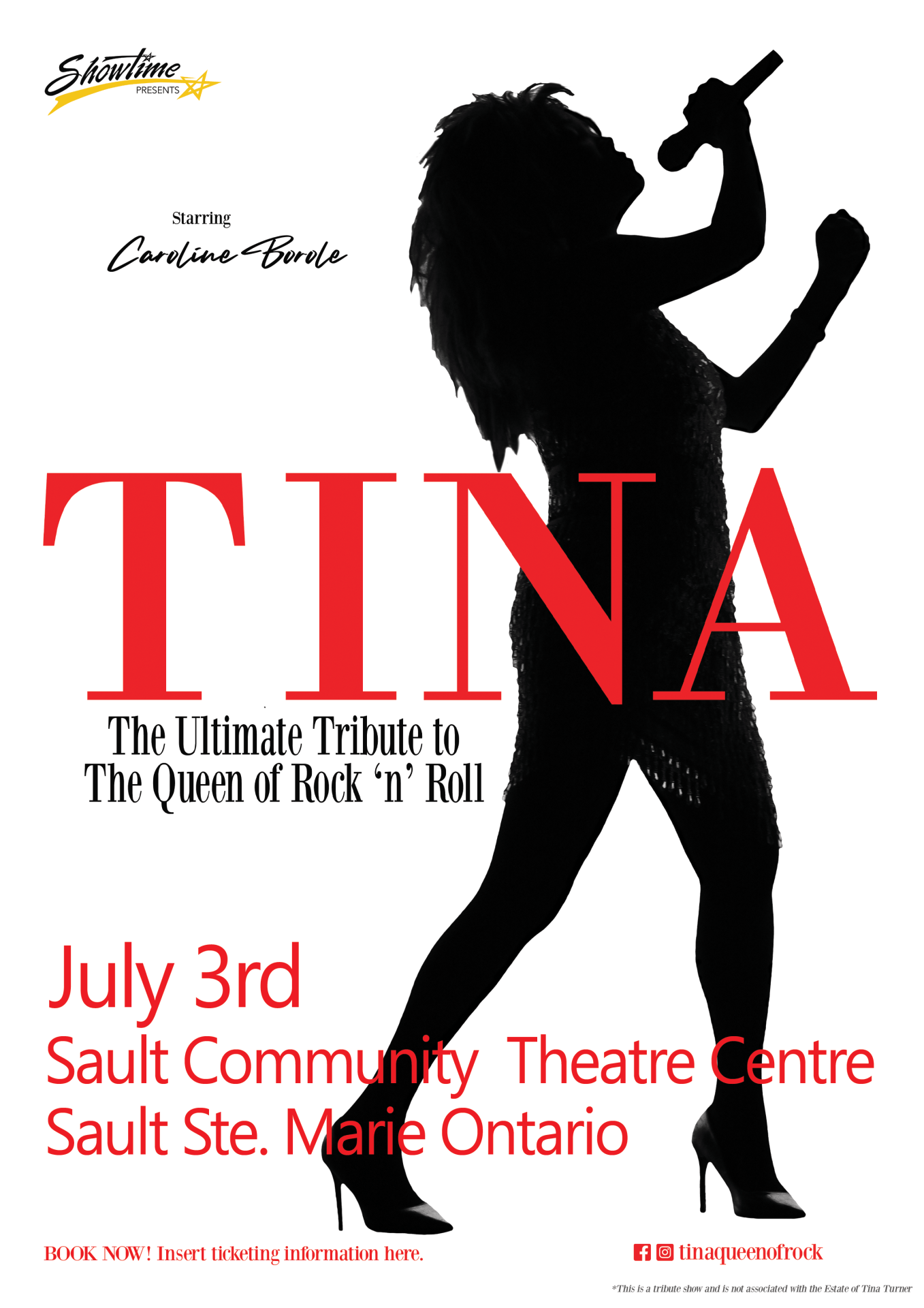 Poster for TINA - The Ultimate Tribute SAULT @ the Sault Community Theatre Centre