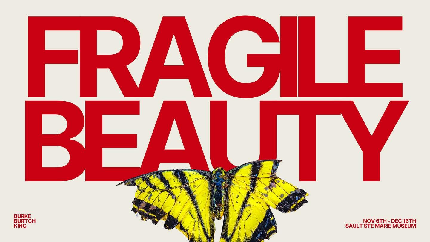 Annie King & Michael Burtch – Fragile Beauty